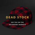THE PORTLAND 5 PANEL