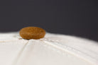 all-groups Blvnk Headwear Vision Vintage Shape Suede Button close up.